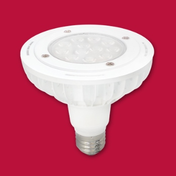 12W PAR30 Waterproof