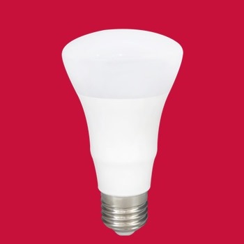 10W LED BULB